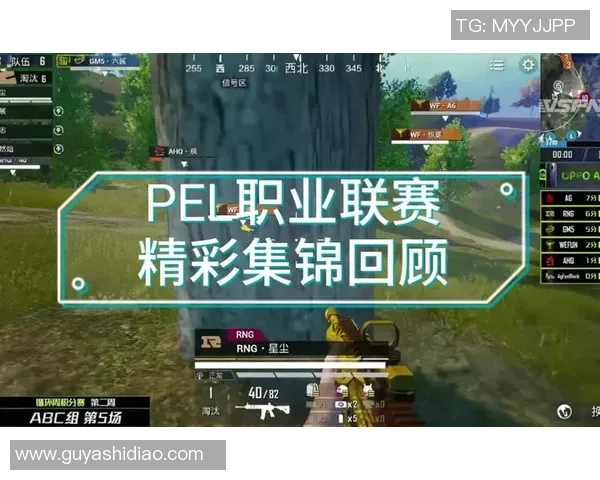 2026电竞新闻和平精英热点分析RNG战队在比赛中的战术控制与应对策略
